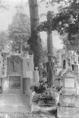 V.Svirskio menamas kapas Surviliškyje